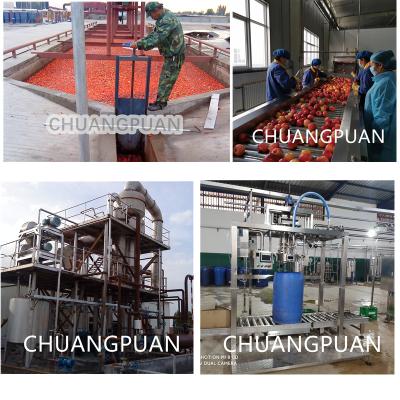 China Aseptic Bag and Bottle Tomato Paste Production Line Clean In Place 1-10T/H Filling Speed for sale