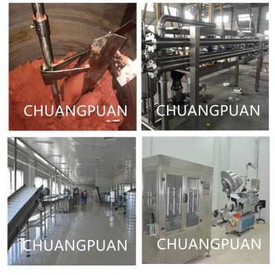 China Industrial Automatic Tomato Paste Production Line / Tomato Processing Line with Aseptic Filling for sale