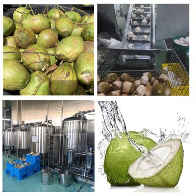 China Máquina de extracción de agua de coco altamente automática para soluciones de procesamiento de coco en venta