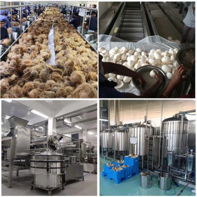 Cina Macchina per la lavorazione del latte di cocco in acciaio inossidabile all'interno di CPA-CW per il latte di cocco in vendita