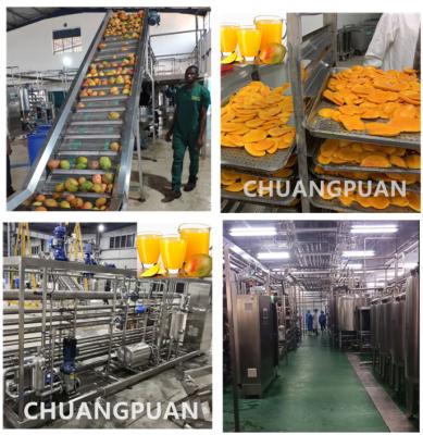 China 1-10T/H Capacity Mango Pulp Production Line for Fruit Vegetable Processing for sale