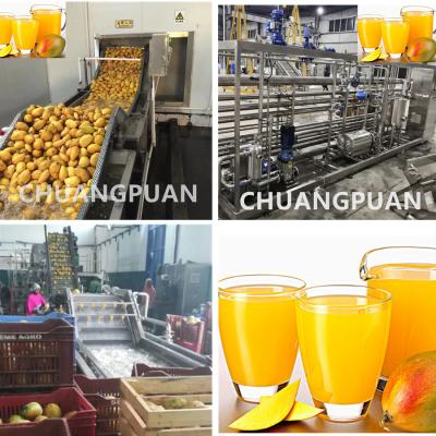 China Instalação de processamento de celulose de manga personalizável para processamento de frutas com capacidade de 1 a 10 toneladas/h à venda