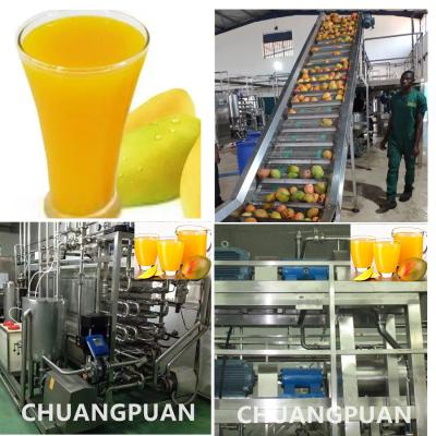 China Customize Voltage Mango Pulp Processing Machine Automatic Grade for sale