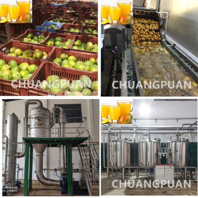 China Customize Your Mango Pulp Production Line 1-10T/H Capacity  High Standards for sale