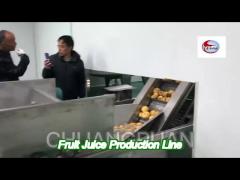 1-50t/h turn key carrot pear fruit juice processing line