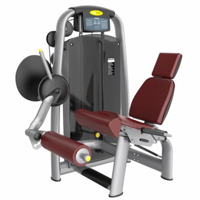 China Commercial Equipment Exercise Equipment Strength Machine Prone Gym Use Leg Loop Equipment for sale