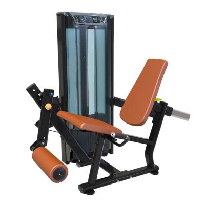 China Commercial High Quality Gym Equipment Sport Machine Supply Manufacturer Fitness Equipment Commercial Use Fitness Equipment Leg Extension for sale