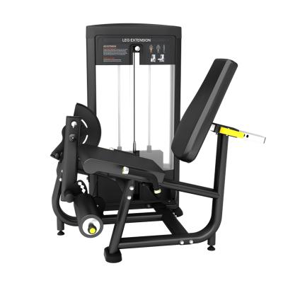 China New Arrival Universal Best Quality Fitness Gym Equipment Leg Extension Equipment Bodybuilding Sports Machine Global Selling for sale