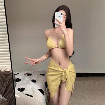 China Breathable 2023 New Foreign Trade Swimsuit Europe And The United States Backless Sexy Solid Color Bikini Mesh Short Bikini Three-Piece Set for sale