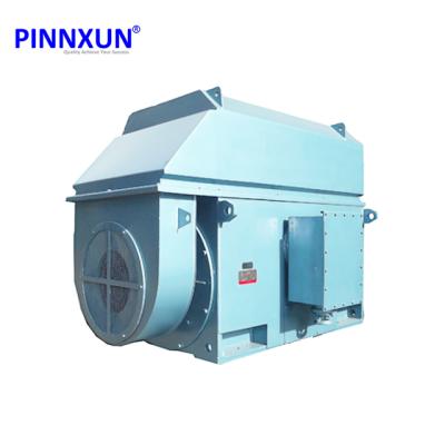 China 6600V Totally Enclosed Electric Motor 500kW Squirrel Cage Induction Motor for sale