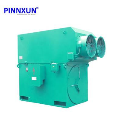 China Totally Enclosed High Voltage INDUCTION MOTOR 300hp IE 2 Three Phase Electric Motor for sale