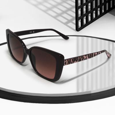 China Custom Made Frame Unisex Tac Lenses Polarized Shades Sunglasses Logo Eyeglasses Soft Tr 90 High Quality Sunglasses Fashion Sunglasses Suowei for sale