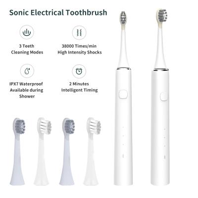 China Battery Operated Multifunctional Electric Toothbrush For Adult Teeth Cleaning for sale