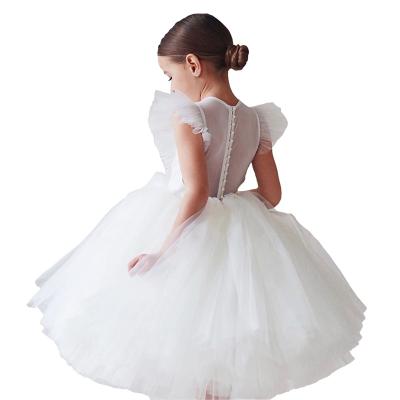 China Best Selling High Quality Price Princess Costume Halloween Kids New Arrival Cotton Baby Custom Canvas Dress for sale