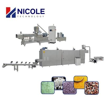 China High Productivity Enriched Rice Double Screw Extruder Rice Making Machine Factory Price for sale