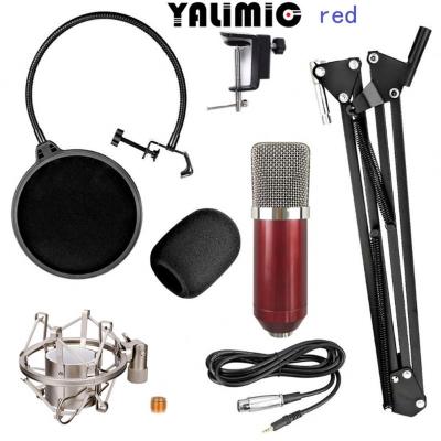 China Factory Handheld Direct Studio Microphone Unidirectional Condenser Microphone for sale