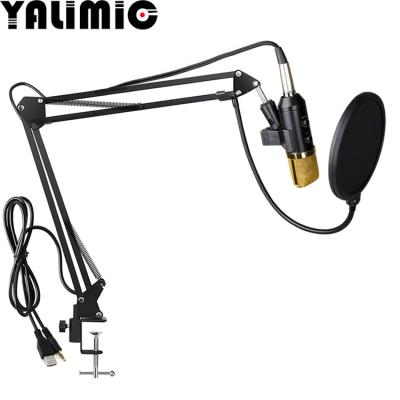 China Handheld Microphone MK-F100TL USB Condenser Microphone Computer Microphone for sale