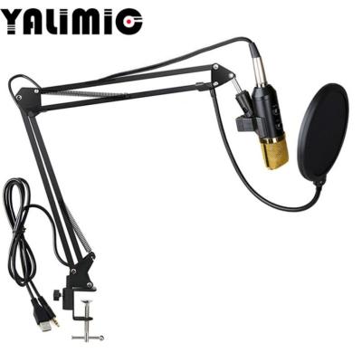 China Professional USB Handheld Microphone Recording Microphome With CE Certificate for sale