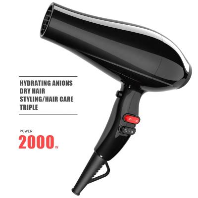 China Collapsible Professional Salon Negative Ion Hair Dryer for sale