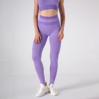 China New Arrival High Waist Gaiters Long Spandex Gym Pants Breathable Female Yoga Pants for sale