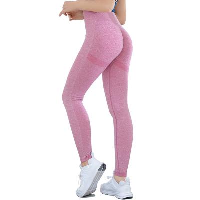 China Breathable Wide Waistband High Waist Gaiters Sports Yoga Elastic Seamless Pants for sale