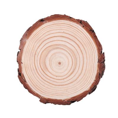 China Eco-Freindly Factory Supply Rustic Solid Pine Slice Wood Waste Tree Slice For Home Wall Decoration for sale