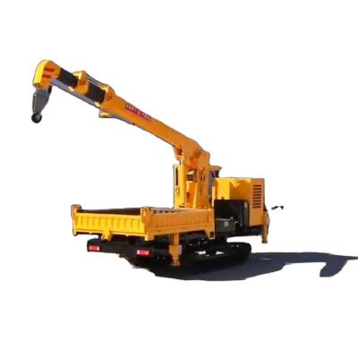 China TRUCK CRANE Telescopic boom crawler crane for agriculture tractor crane mini tralier mounted crane for sale