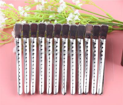 China Professional European and American style salon use fix hair stainless steel hair clips for sale