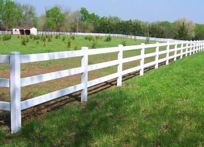 Cina 2 rotaie di plastica cavallo di campo recinzione recinzione di sicurezza equina paddock recinzione di plastica in vendita