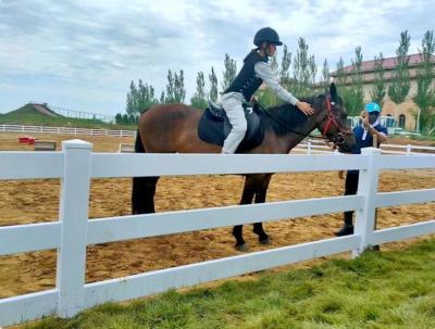 China Ferradura de PVC de fazenda de cavalo de carga pesada Ferradura de cavalo de rancho de vinil de plástico Paddock à venda