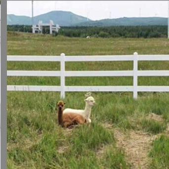 China White Plastic Rail Fence Vinyl Fence 3 Rails 4 Rails Horse PVC Farm Fence for sale