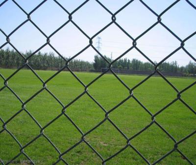 중국 3mm 12 Gauge Chain Link Fence Pvc Coated Green 6x50 판매용