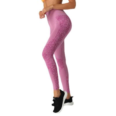 China Sports 2021 Summer Fitness Retraining Butterfly Breathable Pants Professional Dance Training Yoga Pants for sale