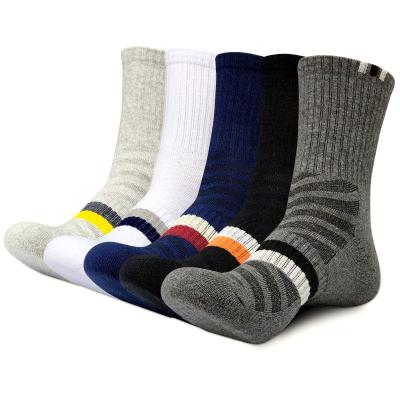 China MOQ Cotton Winter Running Breathable Big Size Men's Basketball Terry Cushion Bottom Adult Socks Athletic Sport Socks for sale