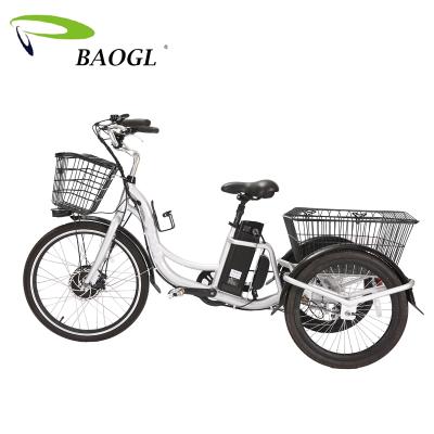 China 20inch 48v 500w Motor Electric Tricycle Cargo Tricycle Electric Cargo Tricycle for sale