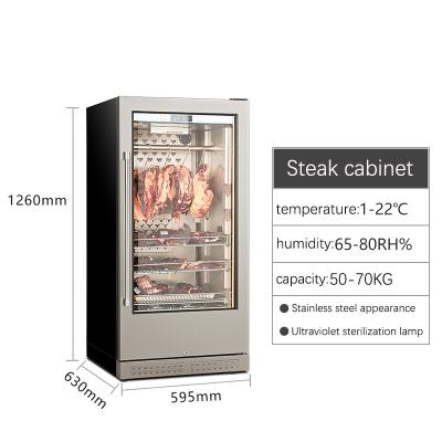 China Wholesale New Beech Shelf Refrigerator Mett Climate Control Thermoelectric Aging Beef Ager For Sale for sale