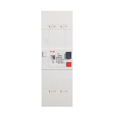 China Leakage Circuit Breaker PG Series 2P 4P 230V 400V 5-60A PG 2P 4P for sale