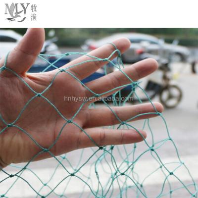 China Hot Selling Anti Bird Nylon / PE Knotted / Anti Bird Knotless Netting for sale