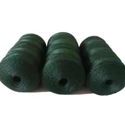 China High Tenacity China Greenhouse PP Pe Agriculture High Tenacity Baler Twine Baler Twine Rope for sale