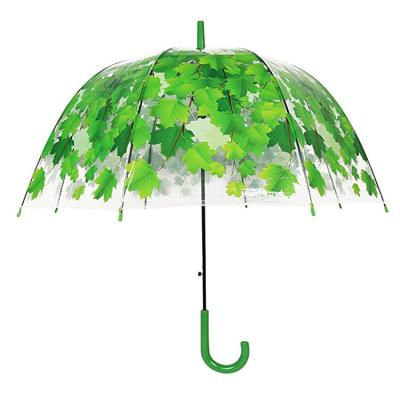 China Transparent Umbrella For Gifts Apollo Semi-Automatic Leaves Dome Transparent PVC Upright Umbrella for sale