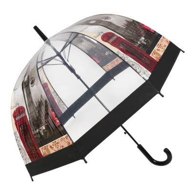 China POE Apollo CLASSIC Material Clear Shape Transparent Umbrella Customized Straight Design Umbrella for sale