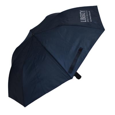 China Cheap Contemporary 2 Fold Rain Umbrella Wholesale 21 Super Light 8k Campact Opening Promotion 2 Folding Easy Carry Automatic Umbrella for sale