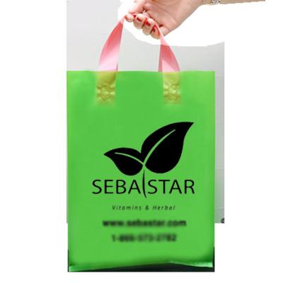 China Custom Moisture Proof Plastic Shopping Bags With Own Logo Packing Handle Carry Plastic Suitcases for sale