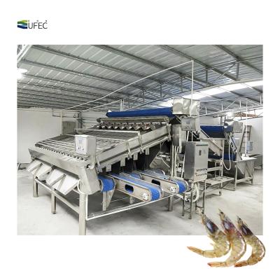 China Large Capacity Shrimp Grading Machine Efficient Industrial Quick Sorter for sale