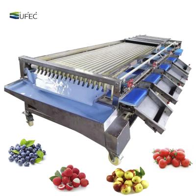 China Lychee/Jujube/Blueberry Cherry Fruit Sorting Machine of Fruit Processing Plant for sale