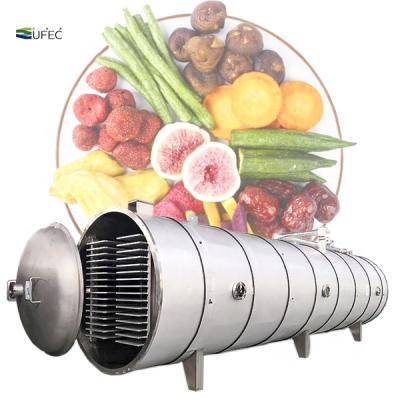 China medicine processing vacuum freeze dryer machine/freeze dryer machine/industrial fruit food vacuum freeze freeze dryer for sale