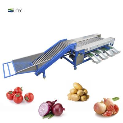 China Fruit Processing Plant Onions/Tomatoes Dimension Grader Grading Machine for sale