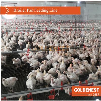 China Automatic Poultry House Broiler Farms Poultry Farm Equipment Complete System for sale