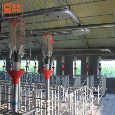 China Farms Complete Pig Farm House Pig Feeding Equipment / Pig Feeder System for sale