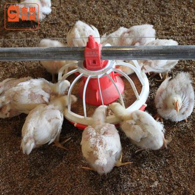 China Farms Goldenest Broiler Pan Poultry Farming Equipment For Chicken House for sale